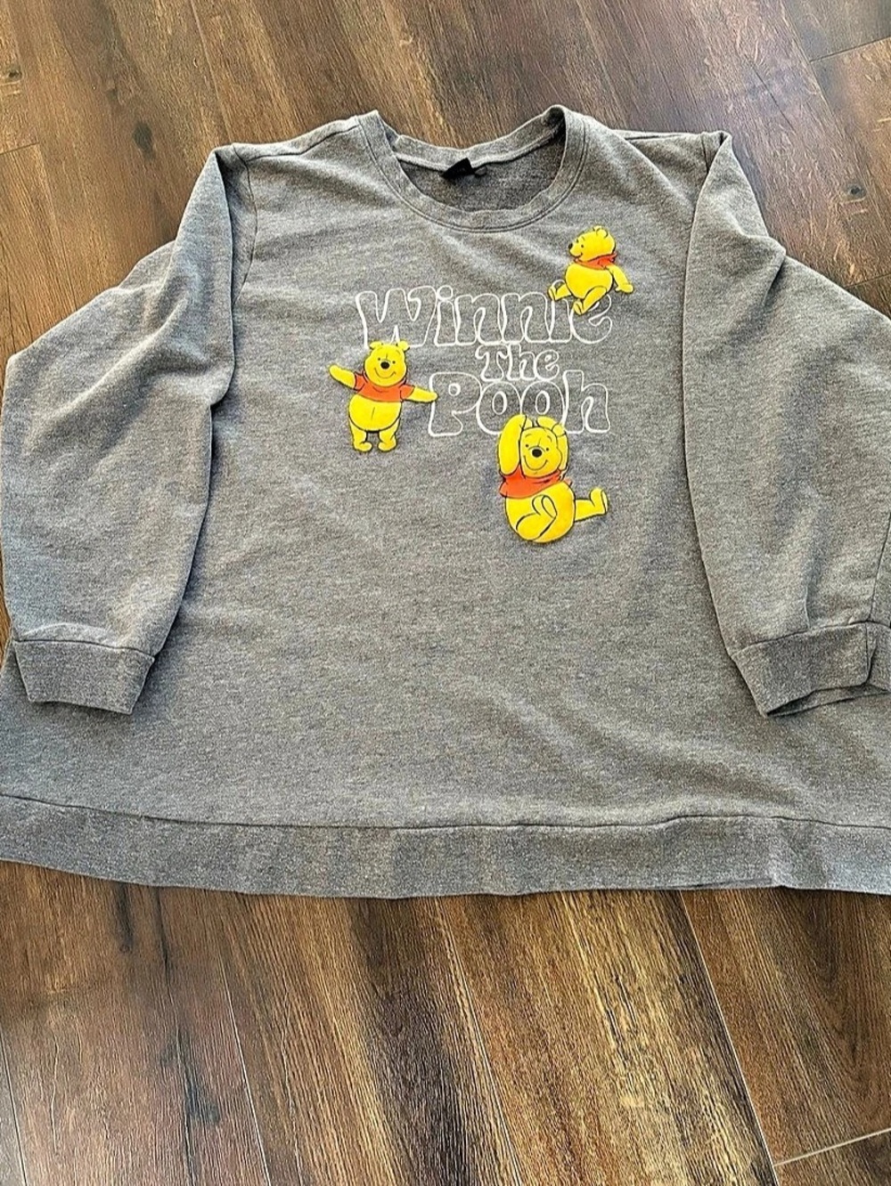 Lane Bryant Disney Winnie the Pooh Gray Graphic Sweatshirt Size 30/32
